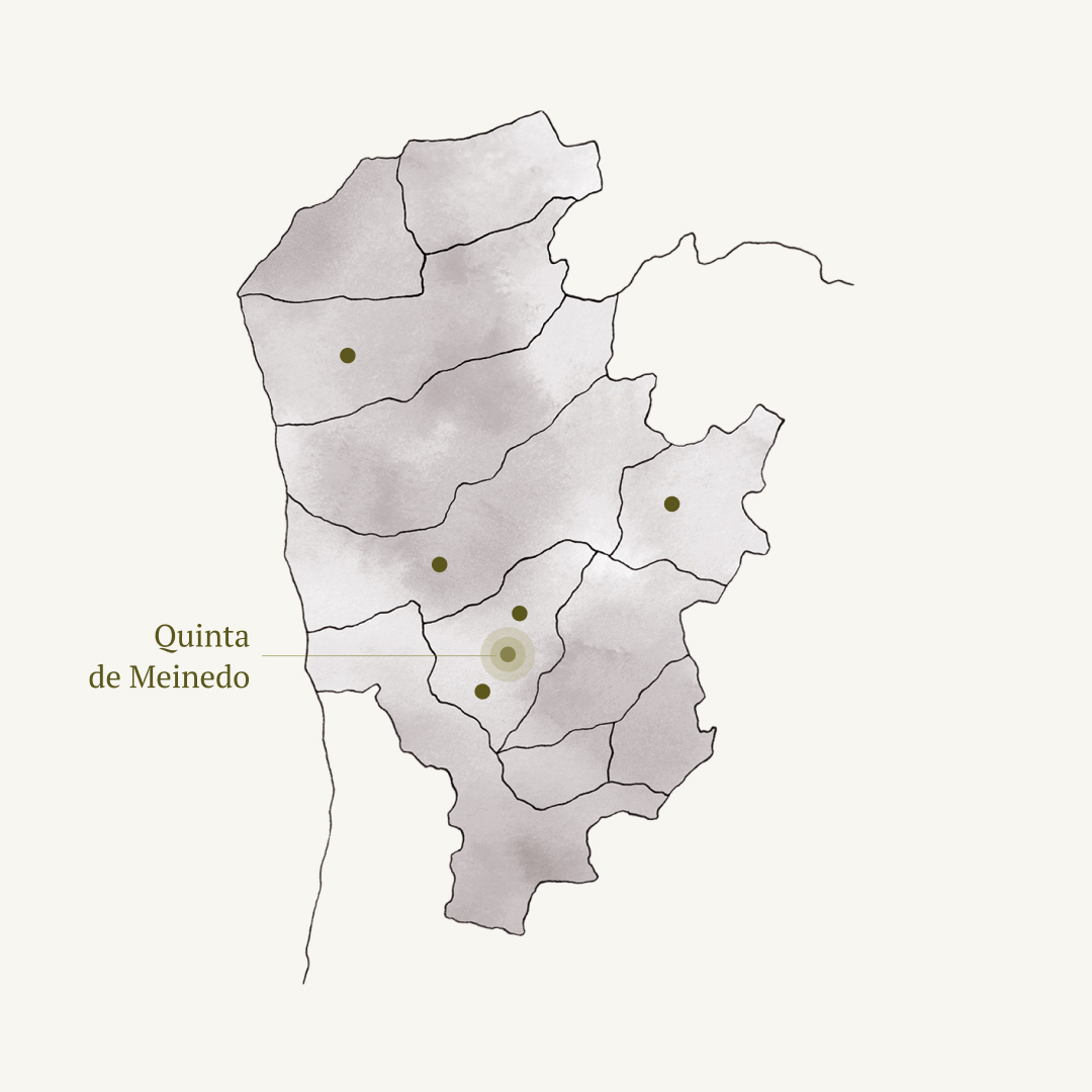 Quinta de Meinedo